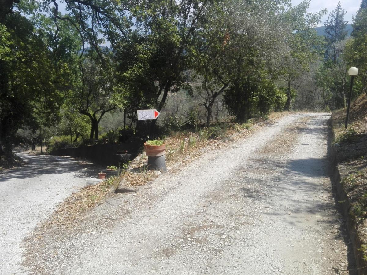Casa Nel Verde Terni Bagian luar foto